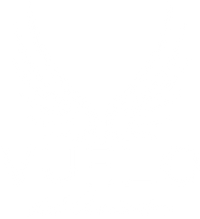 vuelotequila